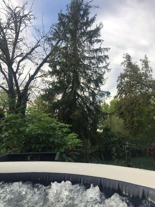 Charmant Gite En Perigord Vert Douchapt Buitenkant foto